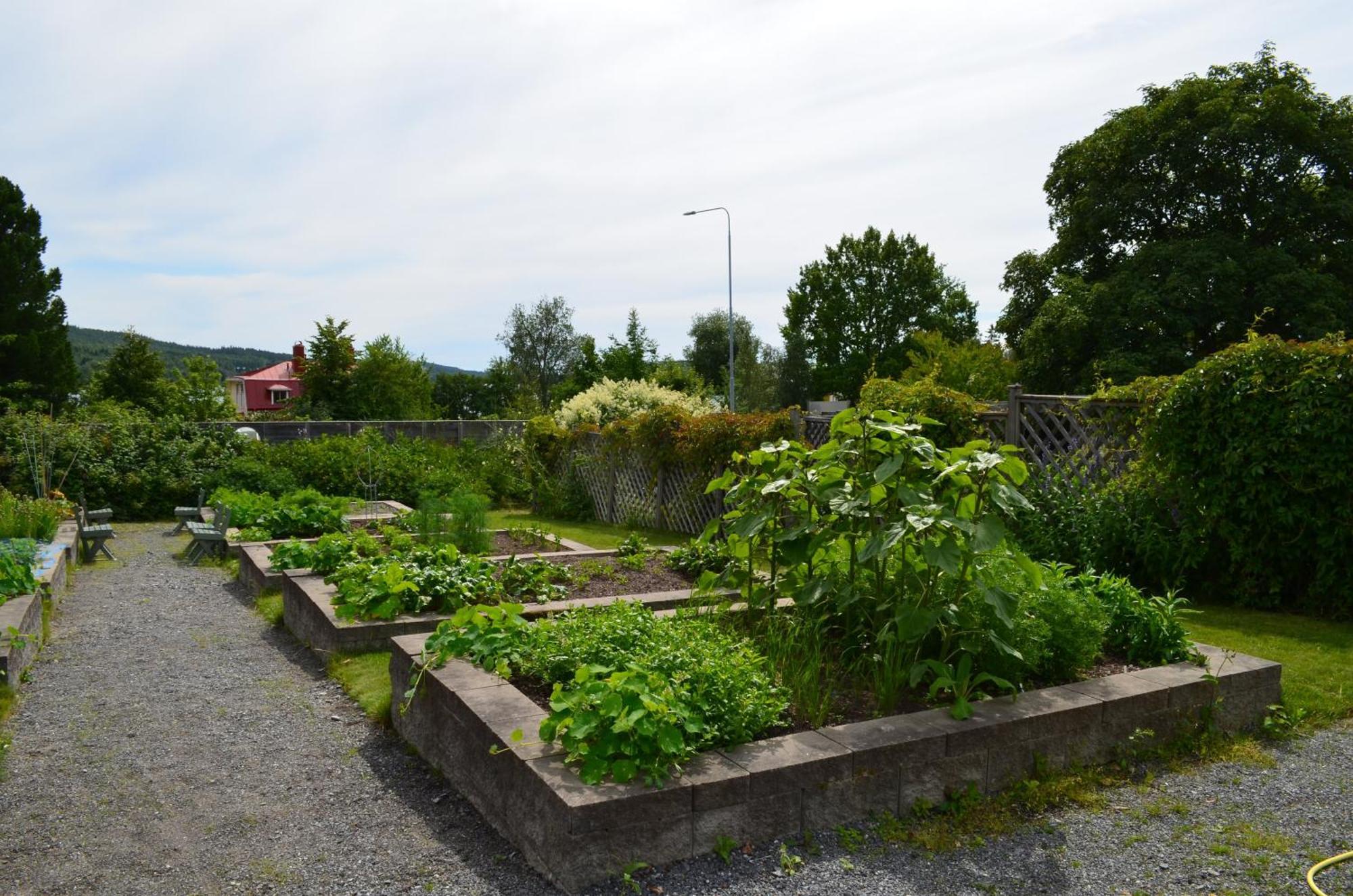 Soergardens Logi Bed & Breakfast Harnosand Exterior photo