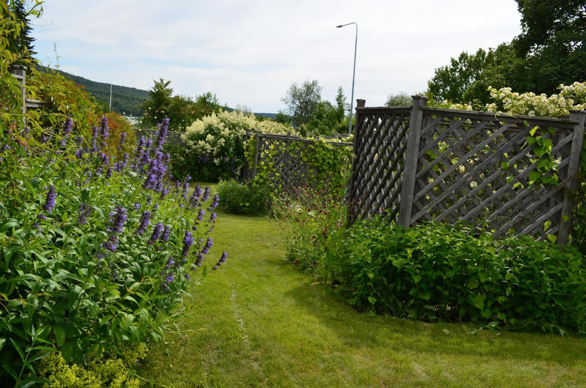 Soergardens Logi Bed & Breakfast Harnosand Exterior photo